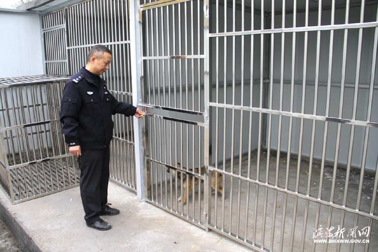 縣公安局開展流浪犬、無主犬收容行動
