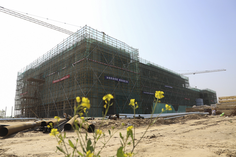 公共衛(wèi)生服務體系建設