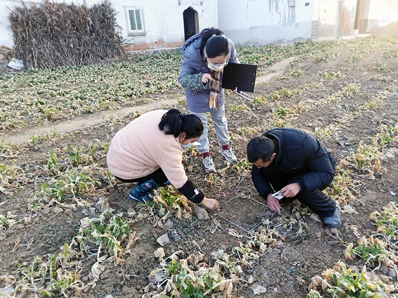 縣植保站開(kāi)展春季農(nóng)田雜草調(diào)查